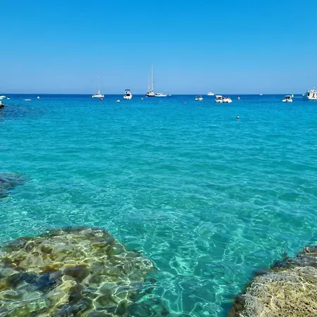 Cosmos * Paralimni