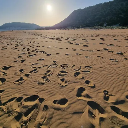 Cosmos شقة باراليمني